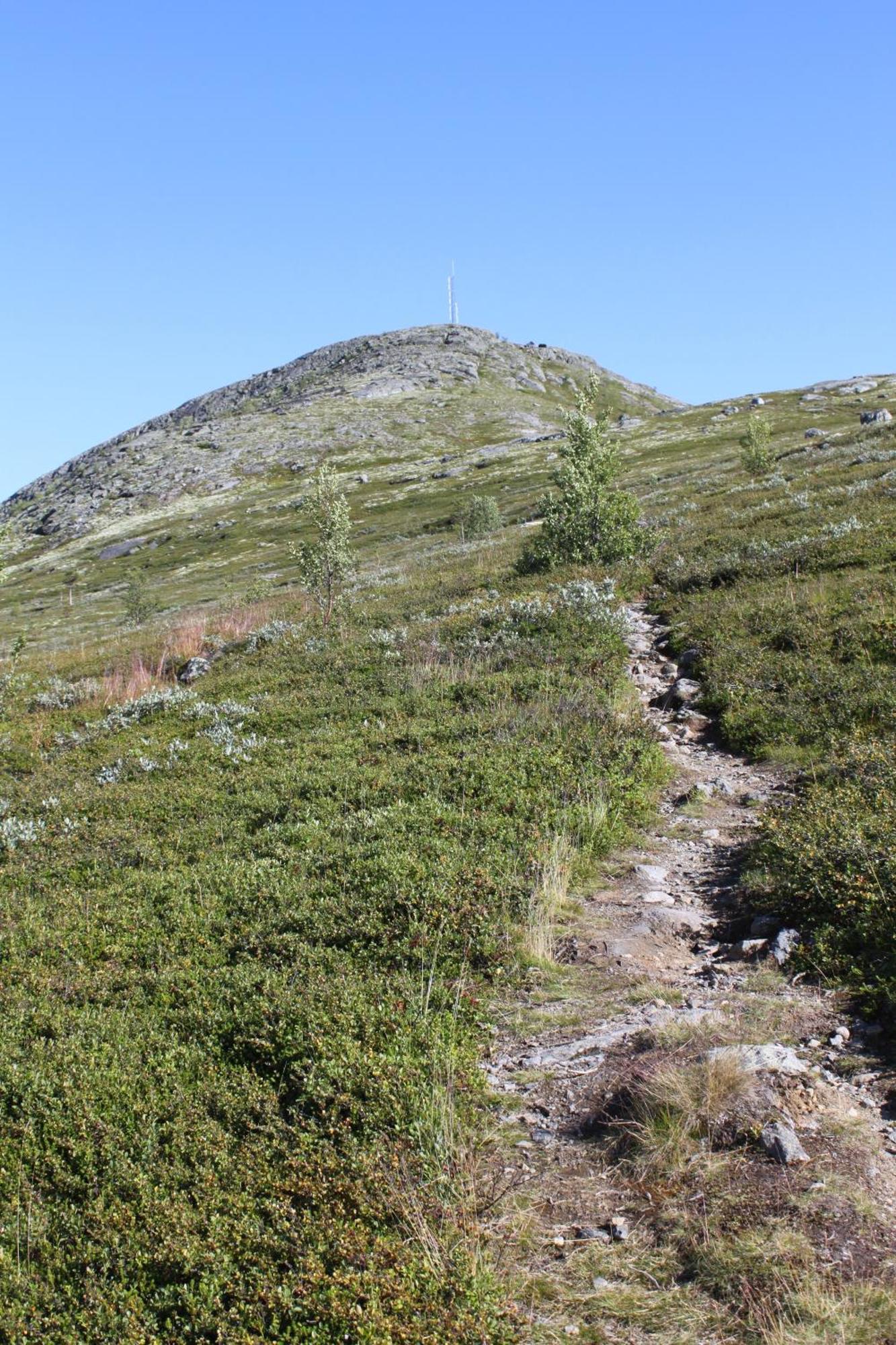 Jotunheimen Feriesenter Villa Heidal Ngoại thất bức ảnh